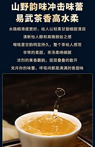 2020 Sheng Jia Yuan Yiwu Ma Black Raw Pu-erh Tea Cake, 357g, from Yunnan