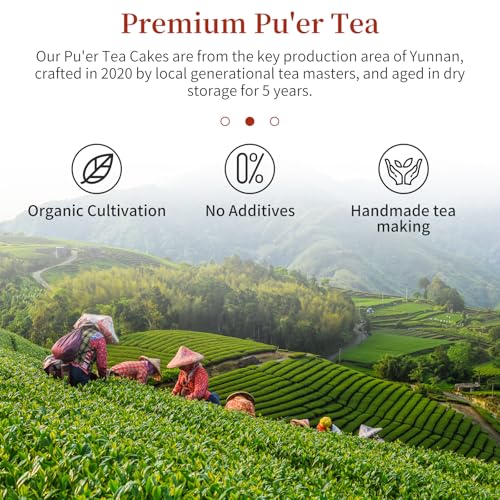 CHADUO Puerh Tea Cake 357g/12.6oz Ripe Pu erh Tea Chinese Fermented Puer Classic Premium Yunnan PuerhTea Aged For 5 Years With Date & Aged Wood Fragrance 普洱茶 熟茶 普洱茶饼