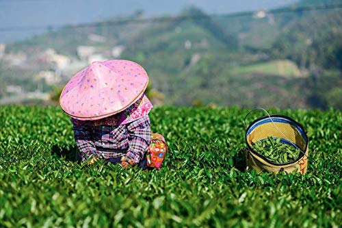 Denise's Fine Tea, Premium, Formosa Oolong, Oolong Tea, High Antioxidant Loose Leaf (100g)