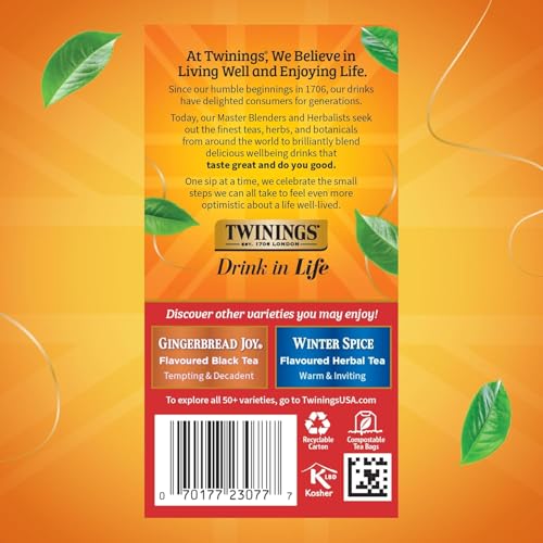 Twinings Christmas Tea - Black Tea Blended with Spicy and Aromatic Clove and Cinnamon, Tea Bags Individually Wrapped, 20 Count Ea (Pack of 2)