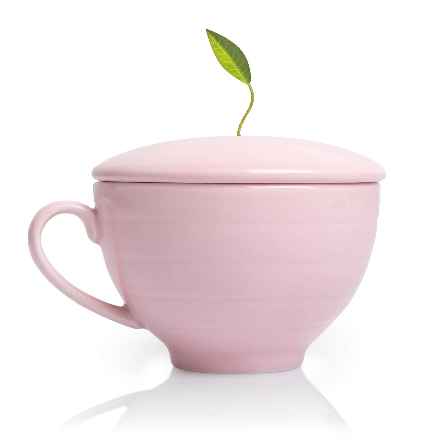 Tea Forte Café Cup Tea Gift Set, Jardin, 10 Pyramid Infusers | 8 oz Porcelain Tea Cup, Lid &amp; Tea Tray - 2 of Each Blend - Individually Wrapped - Giftable Presentation Box