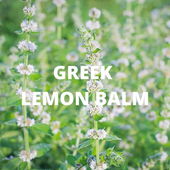 ORGANIC CALM Tea | Herbal Tea for Relaxation &amp; Stress Relief | Lavender Buds, Chamomile Flowers, Lemon Balm Leaves | Whole Leaf, Caffeine Free, Natural, Earthy Flavor | Product of Greece | 70G (2.5 OZ)