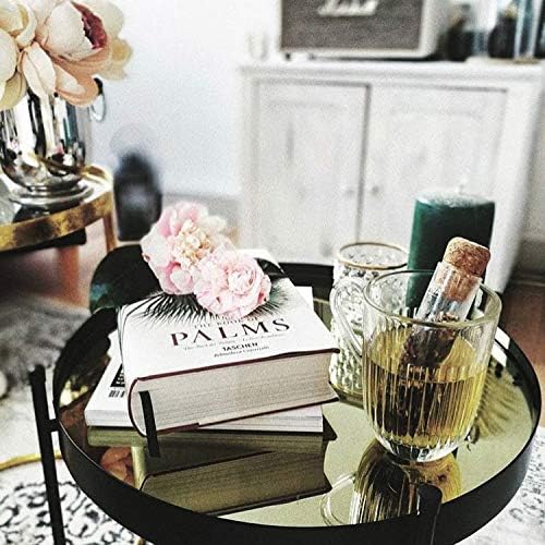 VIVA Travel Glass Tea Infuser Tube with Cork Lid - For Brewing Tea On The Go