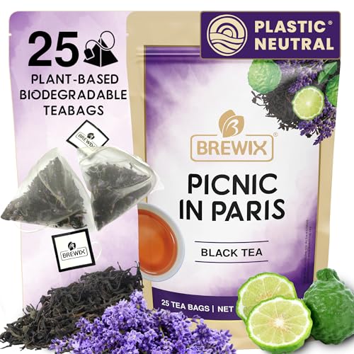 BREWIX, Pumpkin Spice Black Tea Bags (25 Pyramid Bags) | Cozy Fall Blend with Cinnamon, Ginger, Nutmeg & Clove | Caffeinated, Warm & Aromatic | Perfect for Autumn & Halloween