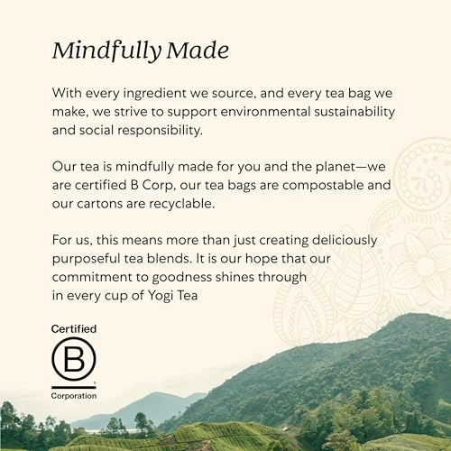 Yogi Energy Variety (3 Pack) Organic Sampler & Tea Gift Set – Contains Caffeine – 48 Tea Bags