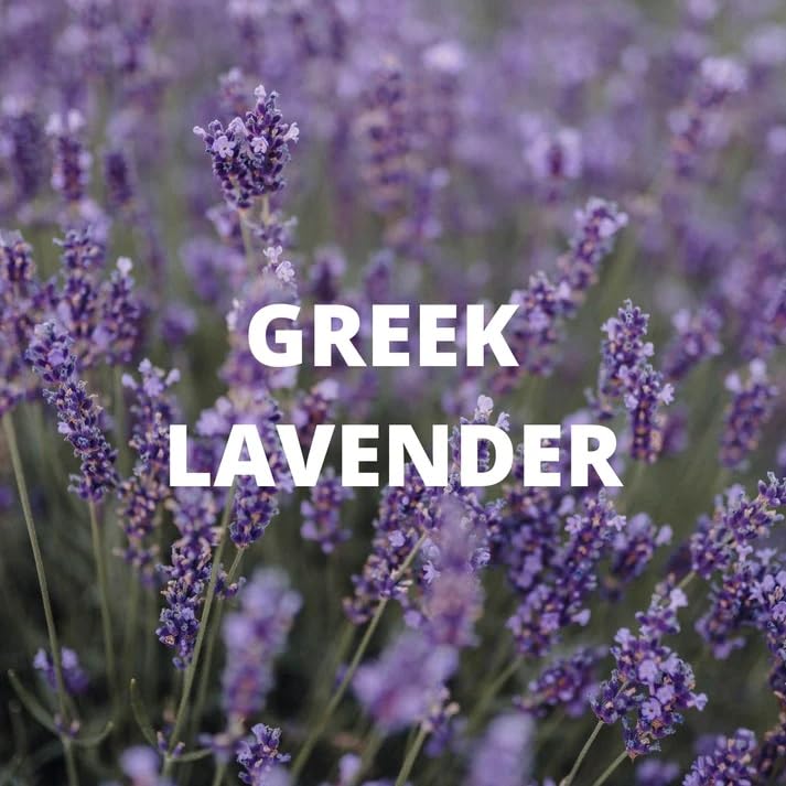 ORGANIC CALM Tea | Herbal Tea for Relaxation &amp; Stress Relief | Lavender Buds, Chamomile Flowers, Lemon Balm Leaves | Whole Leaf, Caffeine Free, Natural, Earthy Flavor | Product of Greece | 70G (2.5 OZ)