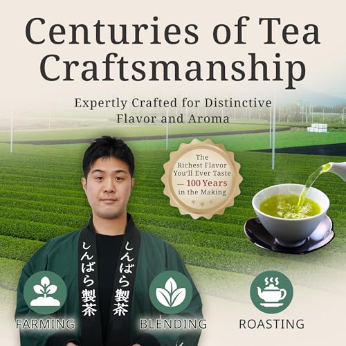 Sweet & Delicious Sencha from Kagoshima – Japanese Loose Leaf Green Tea, 100-Year Legacy, Roasted by Tea Masters, 2.28oz / 80g – KAZAEMON Tea