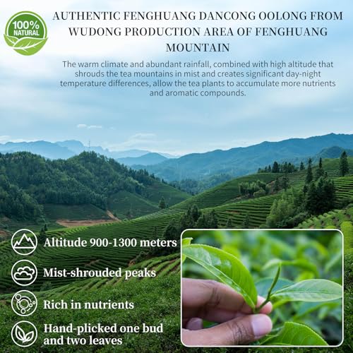 CHADUO Phoenix Dancong Oolong Tea Loose Leaf Phoenix Oolong Tea From Chaozhou Phoenix Mountain Chinese Tea 4.23oz/120g Honey Orchid Fragrance Grade AAA 蜜兰香 凤凰单丛 潮州乌岽单枞茶叶