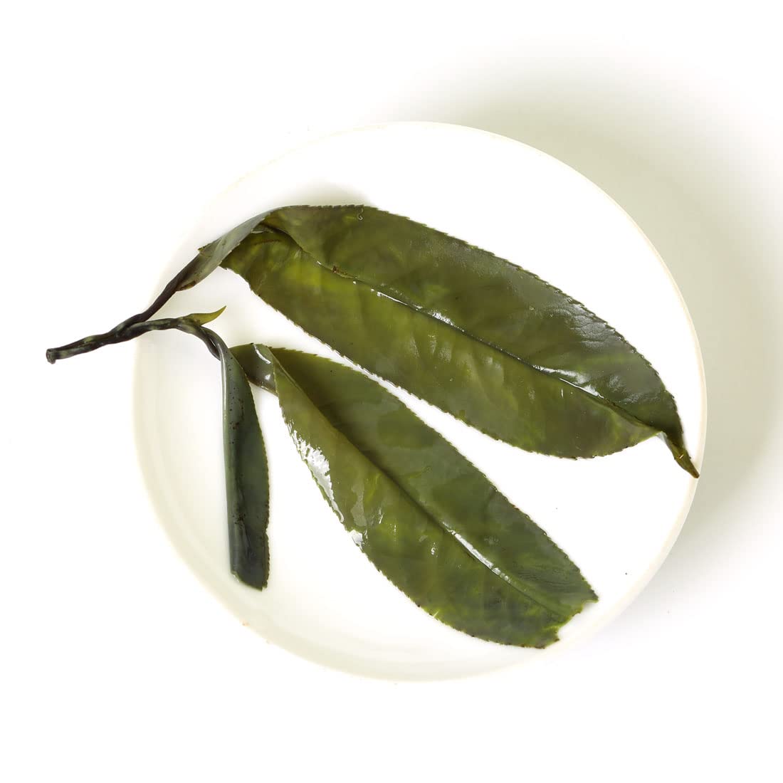GOARTEA Needle Ku Ding Tea 100g / 3.5oz Premium Needle Kuding Tea - Bitter Green Tea - Ku Ding Herbal Tea Chinese Spike Loose