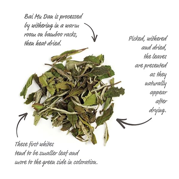 Silk Road Teas, Organic Loose Leaf White Tea, White Peony, Artisan & Fair Trade, Flavors of Melon & Honey, 1.6 ounces