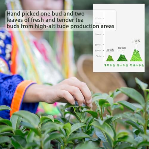 Alishan Oolong Tea Loose Leaf Oolong High Mountain Tea Taiwan Gaoshan Ulong Tea Chinese Fragrant and Sweet 阿里山 台湾茶 阿里山高山乌龙茶 5.3oz/150g