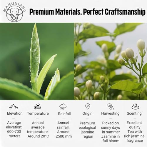 MAHUXIANG Jasmine Dragon Pearl Tea 3.52 oz/100 g – Loose Leaf Jasmine Green Tea, Rolled Green Tea, Self-Sealing Bag