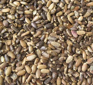 Fire Teas Organic Milk Thistle & Fenugreek Seeds Herbal Tea w/Ginger - Herbal Folk Remedy Tea - Loose Leaf