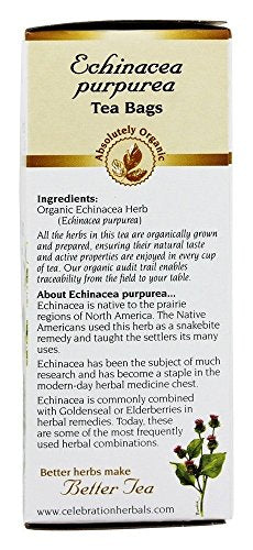 CELEBRATION HERBALS TEA ECHINACEA PURPUREA HERB OG, 24 CT