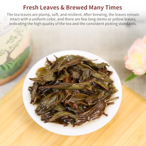 Yuexi Dan Cong Tea Oolong Tea Loose Leaf 4.23oz/120g Top-grade Chaozhou Phoenix Mountain Tea Rich Flavor Orchid Fragrance 凤凰单枞 蜜兰香 潮州乌岽乌龙茶 单枞茶叶