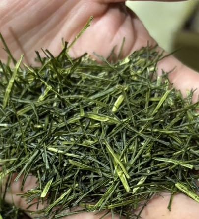 Chiran Green Tea from Kagoshima [Deep Steamed Sencha], 0.32 oz. (9g), Japanese Leaf Tea Bags, Sweet, rich, mellow, and full of umami (3p Trial Teabags)