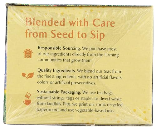 Celestial Seasonings Morning Thunder Tea, 20 ct