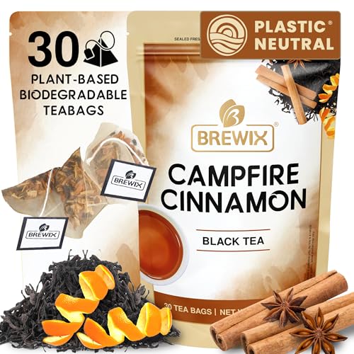 BREWIX, Pumpkin Spice Black Tea Bags (25 Pyramid Bags) | Cozy Fall Blend with Cinnamon, Ginger, Nutmeg & Clove | Caffeinated, Warm & Aromatic | Perfect for Autumn & Halloween