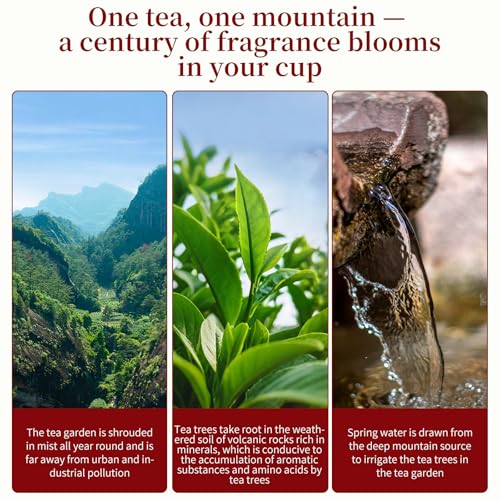 XIXICHA Phoenix Dancong Oolong Tea 120g/4.23oz Honey Orchid Mi Lan Xiang Phoenix Oolong Tea Loose Leaf Chinese Tea Chinese High Mountain Strong Floral Flavor（96 cups） 特级凤凰单枞 乌龙茶 单丛茶 潮州乌岽单枞茶叶