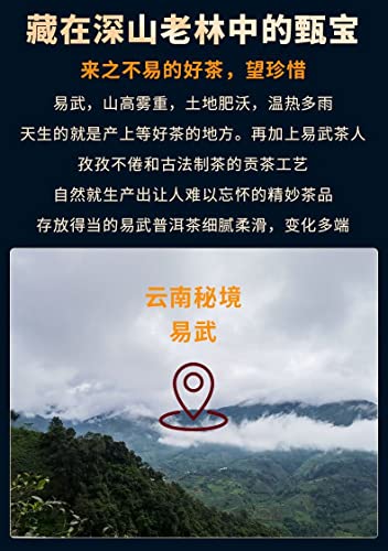 2020 Sheng Jia Yuan Yiwu Ma Black Raw Pu-erh Tea Cake, 357g, from Yunnan