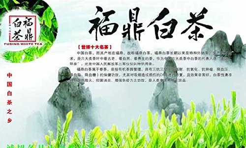 Silver Needle White Tea, Premium White Tea Best white tea with all tippy – 1.5 Oz in Tea Tin