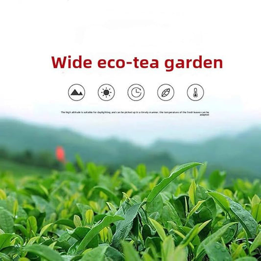 Oolong Tea 8.81oz /250g（30Bags）Phoenix Dancong （Honey Orchid Aroma）Chao Zhou Feng Huang Dan Cong Mi Lan Xiang Loose Leaf 潮州乌岽单枞茶叶 凤凰单丛 (蜜兰香)