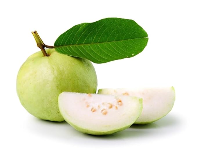 White Guava Tee 3-5 In
