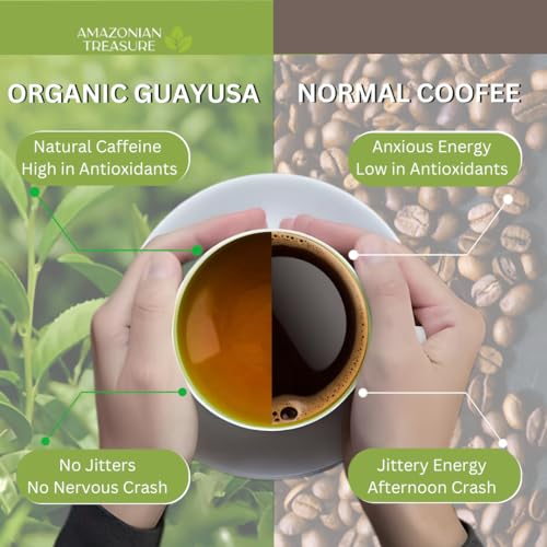 Amazonian Treasure Organic Guayusa Loose Leaf Tea, 16 OZ (1LB), Smooth Energy Boost, Alternative to Coffee & Yerba Mate, 60 mg Caffeine per Serving.