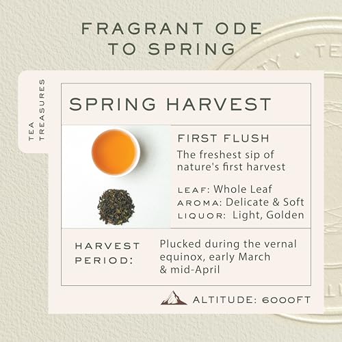 Makaibari Spring Time Bloom | Tin Caddy 100 gm | First Flush black Tea