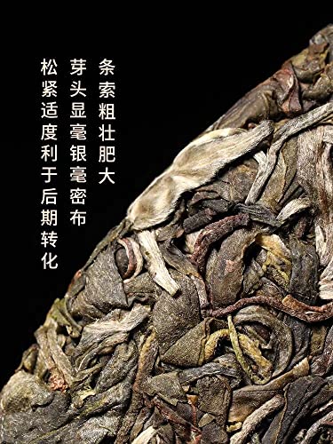 2020 Sheng Jia Yuan Yiwu Ma Black Raw Pu-erh Tea Cake, 357g, from Yunnan