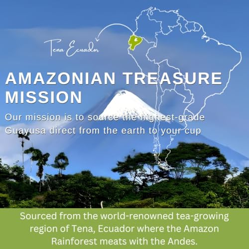Amazonian Treasure Organic Guayusa Loose Leaf Tea, 8 OZ, (227G) 1/2LB, Smooth Energy Boost, Alternative to Coffee & Yerba Mate, 60 mg Caffeine per Serving.