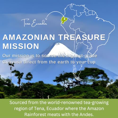 Amazonian Treasure Organic Guayusa Loose Leaf Tea, 16 OZ (1LB), Smooth Energy Boost, Alternative to Coffee & Yerba Mate, 60 mg Caffeine per Serving.