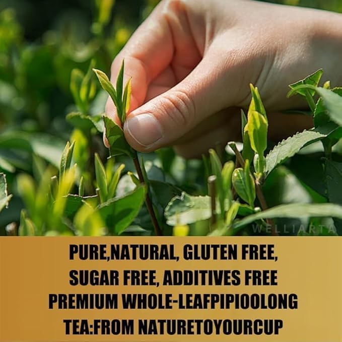 PipiTea Organic Oolong Tea Bags - Whole Leaf, (20 bags) 4g Selected Tea Leaves - Helps lower cortisol levels, relieve stress, promote digestion and metabolism, vegan, non-GMO (B)