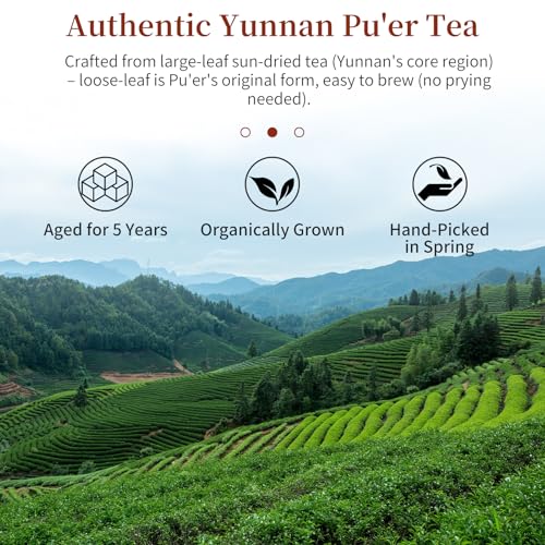 CHADUO Puerh Tea Loose Leaf Aged 5 Years Premium Yunnan Pu erh Ripe Puer Tea 7.05oz/200g Royal-Grade Aged Aroma & Jujube Fragrance 普洱茶 普洱散茶 宫廷普洱茶 云南勐海