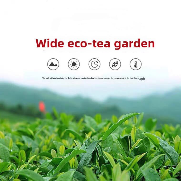 Oolong Tea 8.81oz /250g（30Bags）Phoenix Dancong （Honey Orchid Aroma）Chao Zhou Feng Huang Dan Cong Mi Lan Xiang Loose Leaf 潮州乌岽单枞茶叶 凤凰单丛 (鸭屎香)