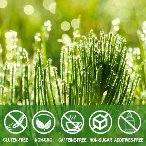 Jarteela - Horsetail Tea Bag, 36 Ct, Dried Horsetail Herbs, Cola De Caballo