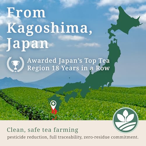 Sweet & Delicious Sencha from Kagoshima – Japanese Loose Leaf Green Tea, 100-Year Legacy, Roasted by Tea Masters, 2.28oz / 80g – KAZAEMON Tea