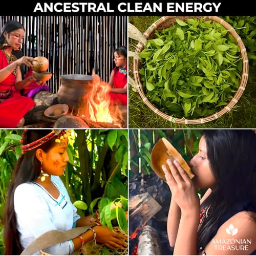 Amazonian Treasure Organic Guayusa Loose Leaf Tea, 16 OZ (1LB), Smooth Energy Boost, Alternative to Coffee & Yerba Mate, 60 mg Caffeine per Serving.