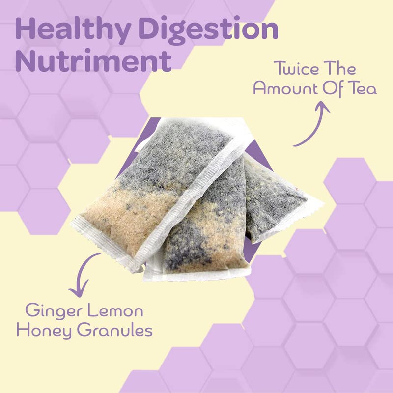 True Honey Lemon Ginger Tea Bags - Honey Crystals Blended in Every Sachet - Healthy Digestion Nourishment - All Natural Organic Herbal Caffeine Free Tea Bag 24 Count