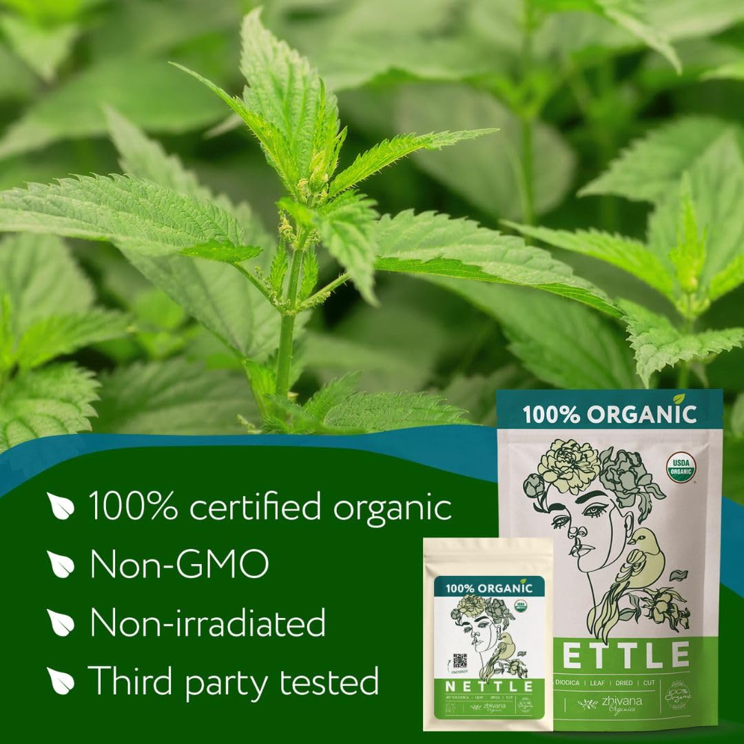Organic Nettle Leaf Tea (3.5oz) – Stinging Nettles Herb – Natural Cleansing