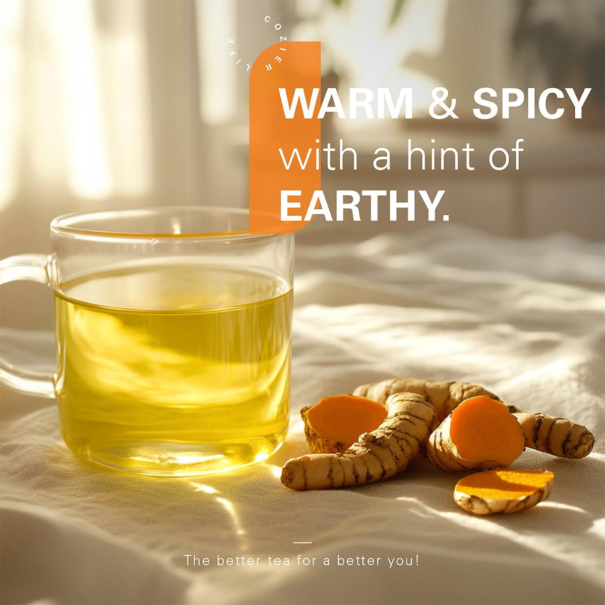 WT WEETEE Turmeric Ginger Tea Bags 100 Count, Rich Antioxidant Warm &amp; Spicy