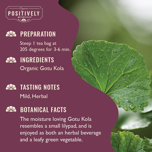 Organic Positively Botanicals Company, Gotu Kola Herbal Tea Bags, 20 Count