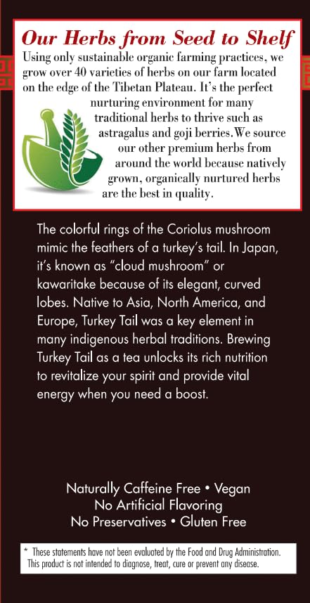Bravo Tea Turkey Tail Mushroom Herbal Tea, Caffeine Free 20 Tea Bags
