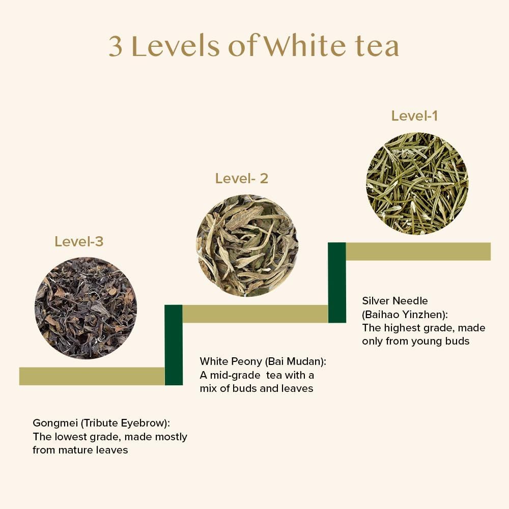 VAHDAM White Pine Needle Tea Loose Leaf(1.76oz|25 cups) Silver Pine Needle | Mellow, Fragrant &amp; Delicious |100% Pure and Unblended| Caffeine Free, Non GMO |Vacuum Sealed| Brew Hot/Iced or as Kombucha