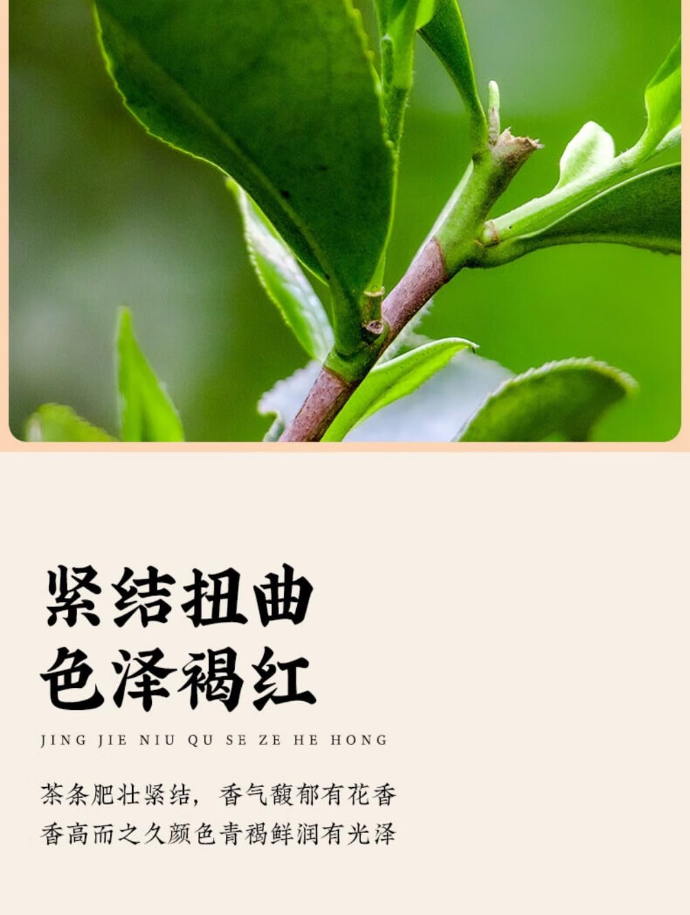 正宗大红袍 Dahongpao Oolong Tea 福建武夷山乌龙 Natural Loose Leaf Tea,Chinese Tea, Sulfur Free 【大红袍 Dahongpao Oolong Tea 】250g*2袋 Flower tea,dark tea,loose tea