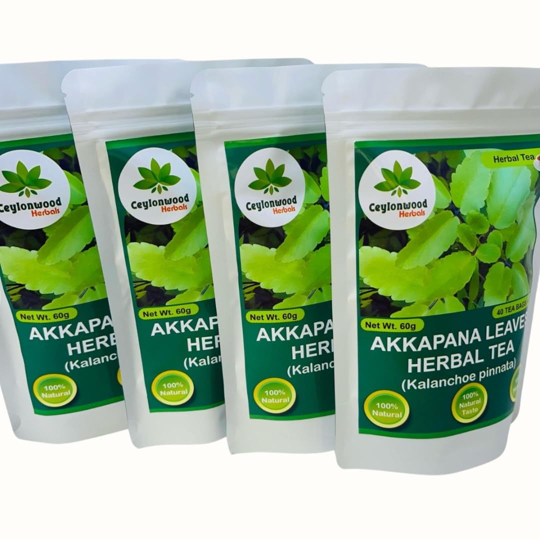 Ceylonwood Herbals Organic Kalanchoe pinnata Leaves Tea, miracle leaf air plants Bryophyllum Pinnatum Herbal Tea, 40 Tea