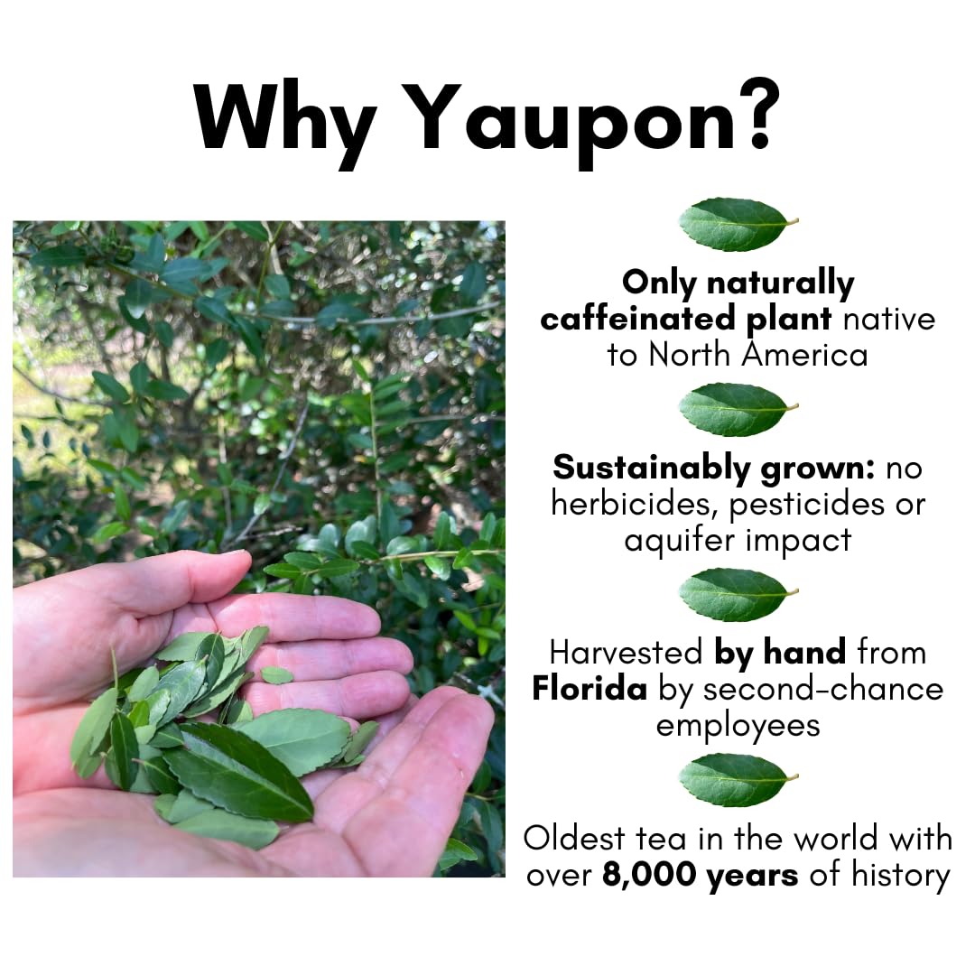 Florida Earl Grey Yaupon Holly Tea; 20 Teabags, 1.06oz, Naturally Caffeinated, Florida-grown Yaupon Holly with Bergamot