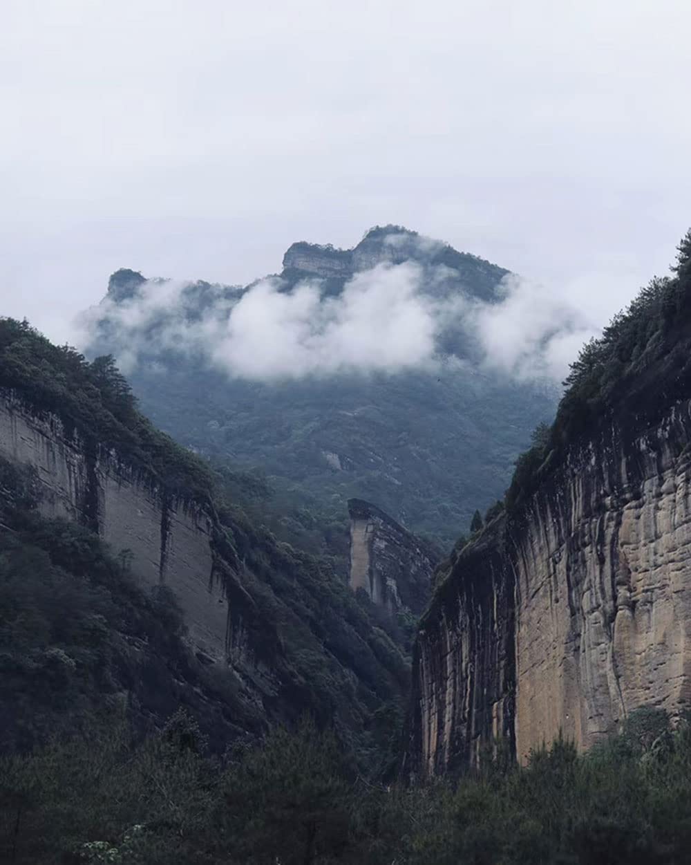 dahongpao Wuyi Rock Tea One of the Four Famous Cong 80g
