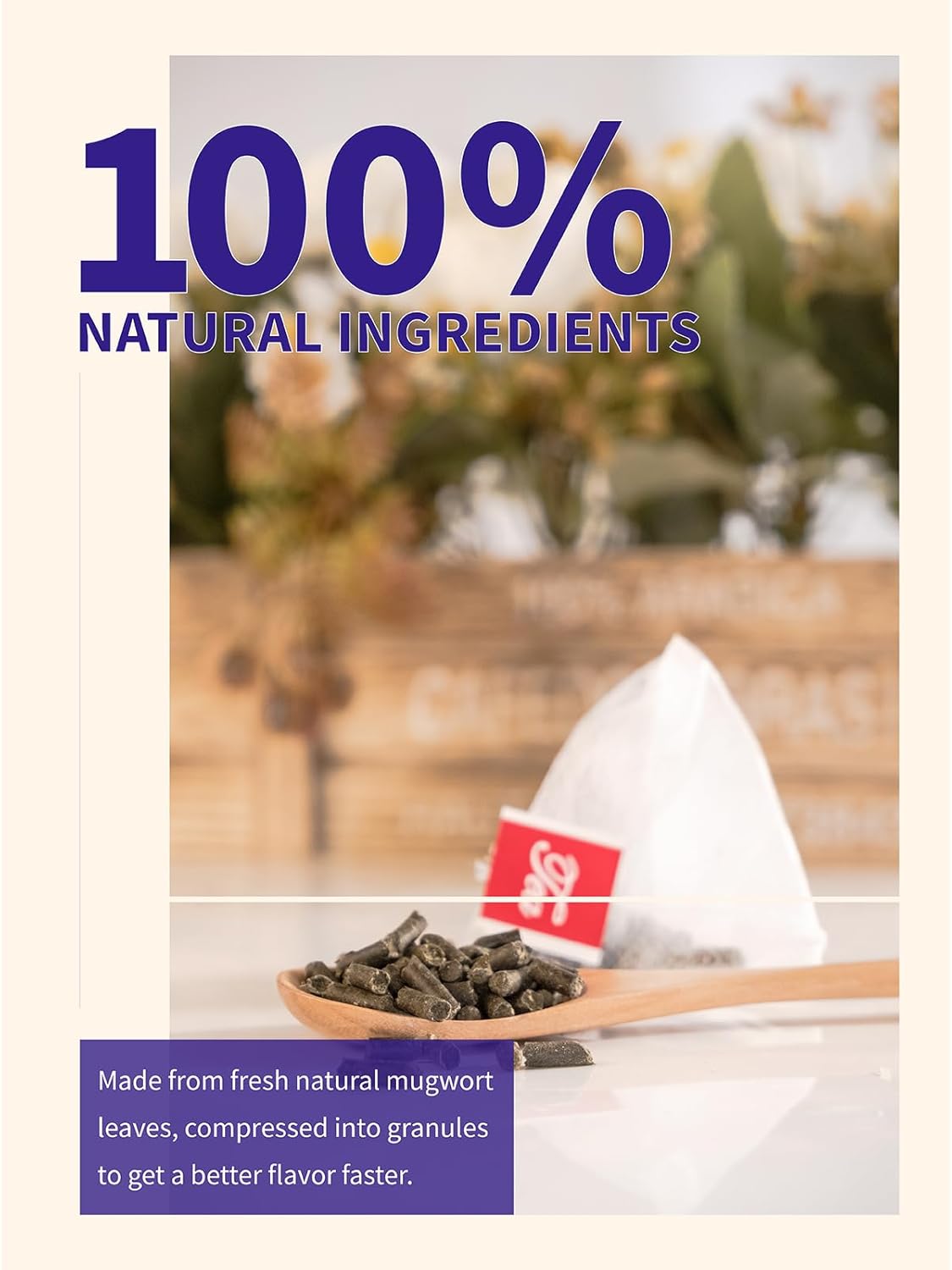 TeeLux Mugwort Tea Bags, Corn Fiber Pyramid Tea Bags, Caffeine Free, 40 ct