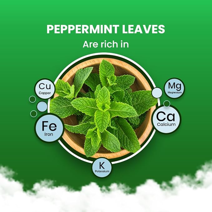 Blue TEA - Peppermint Tea - 100 Count - Plant Based Tea Bag, Black Deals Friday 2025, Supports Digestion, Antioxidant Rich